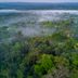 20 Unexplained Mysteries of the Amazon