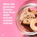 30 Cookie Puns That Are Batter Than You Think