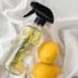Home Remedies for Fleas: 12 Easy Tips Worth Trying