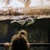 13 Things You Never Knew About Penguins (and How to Help Them)