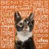 200+ Cute Cat Names You'll Paws-itively Love