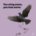 15 Bird Puns That Will Quack You Up