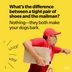 40 "What's the Difference Between" Jokes That Will Make You Chuckle
