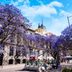 This Is the Best Time to Visit Mexico City for Perfect Weather, Great Prices and the Coolest Things to Do